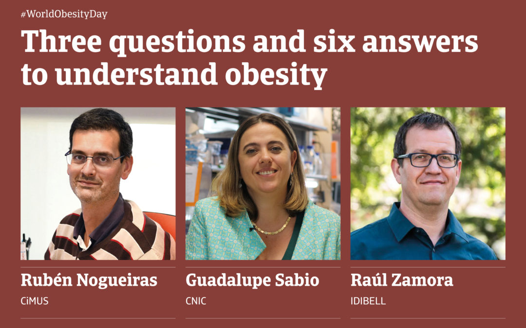Three questions and six answers to understand obesity