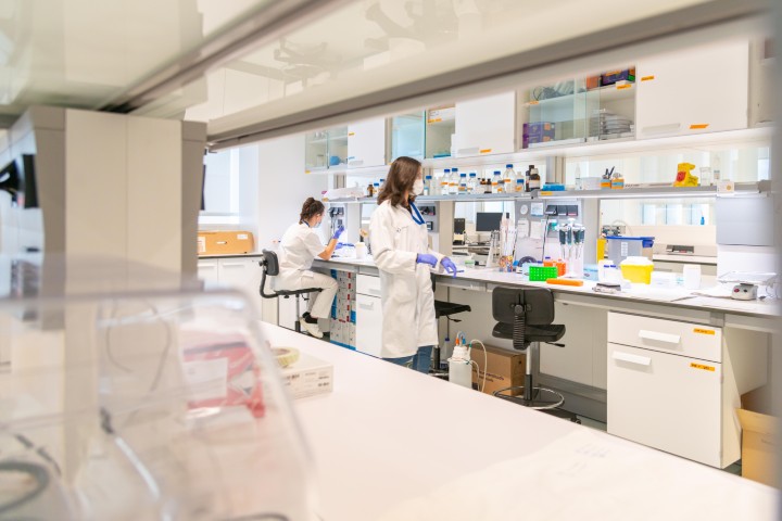 dale candela biobizkaia als project 2025