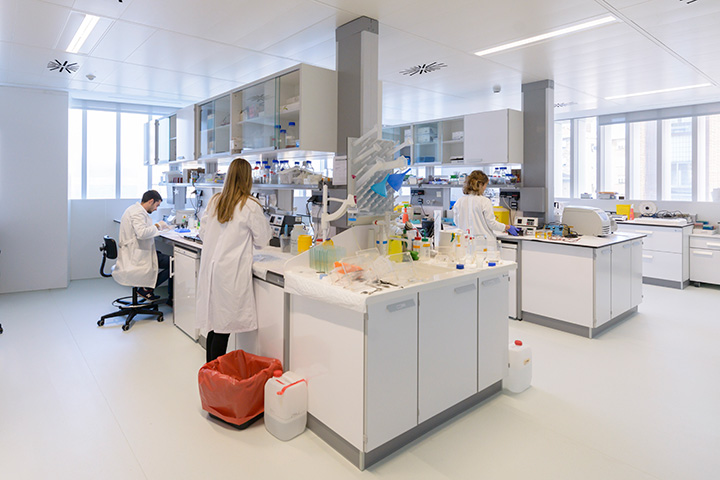 dale candela biobizkaia als project 2025