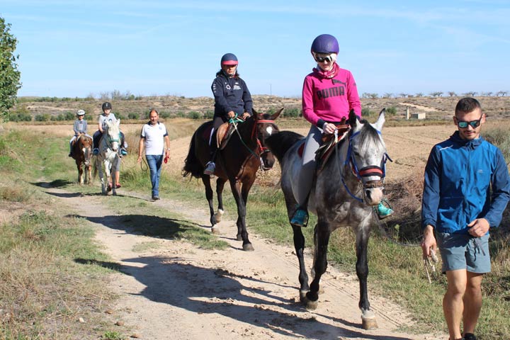 Sport and Challenge