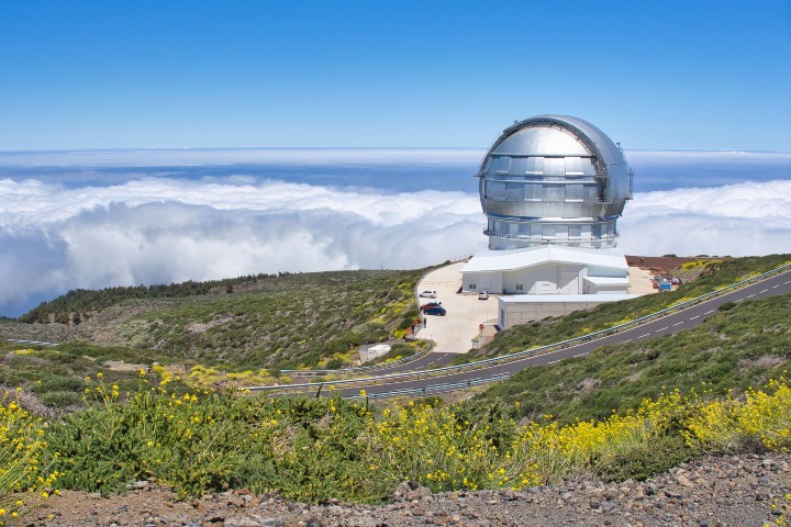 Visiting researchers programme