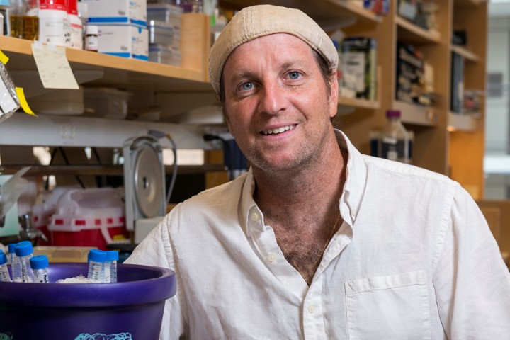 Visiting researchers programme