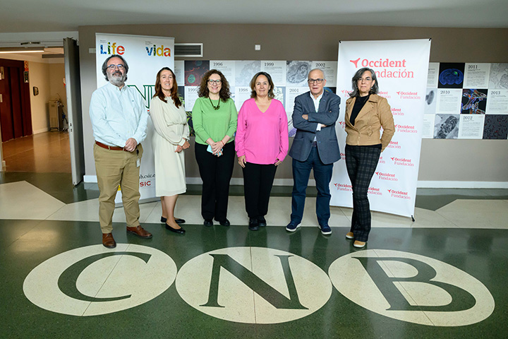 Proyecto beca CNB CSIC 2024