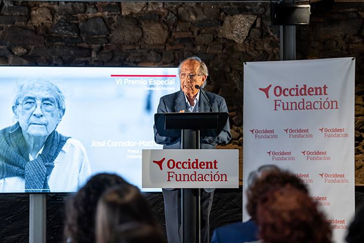 José Corredor Matheos, Premio Especial 