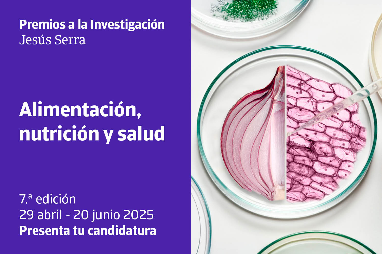 Premios a la Investigación Jesús Serra 2025
