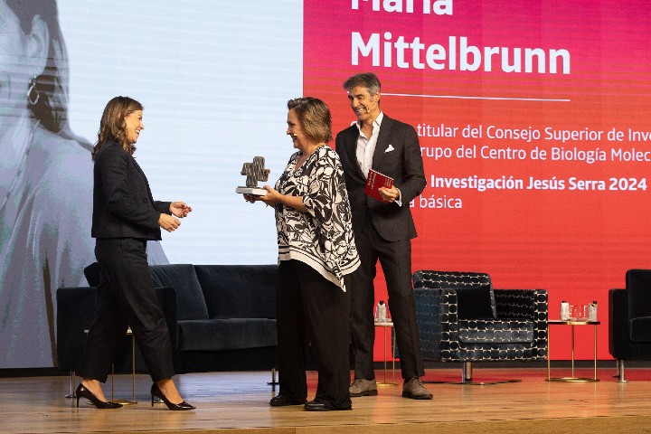 Premios a la Investigación
