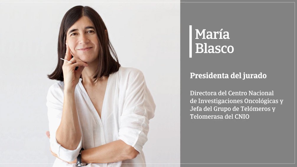 Presentación de la Fundación Occident