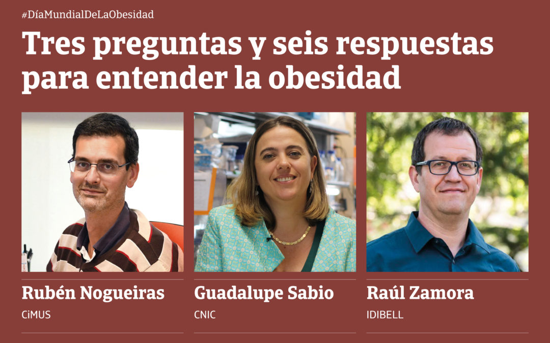 Tres preguntas y seis respuestas para entender la obesidad