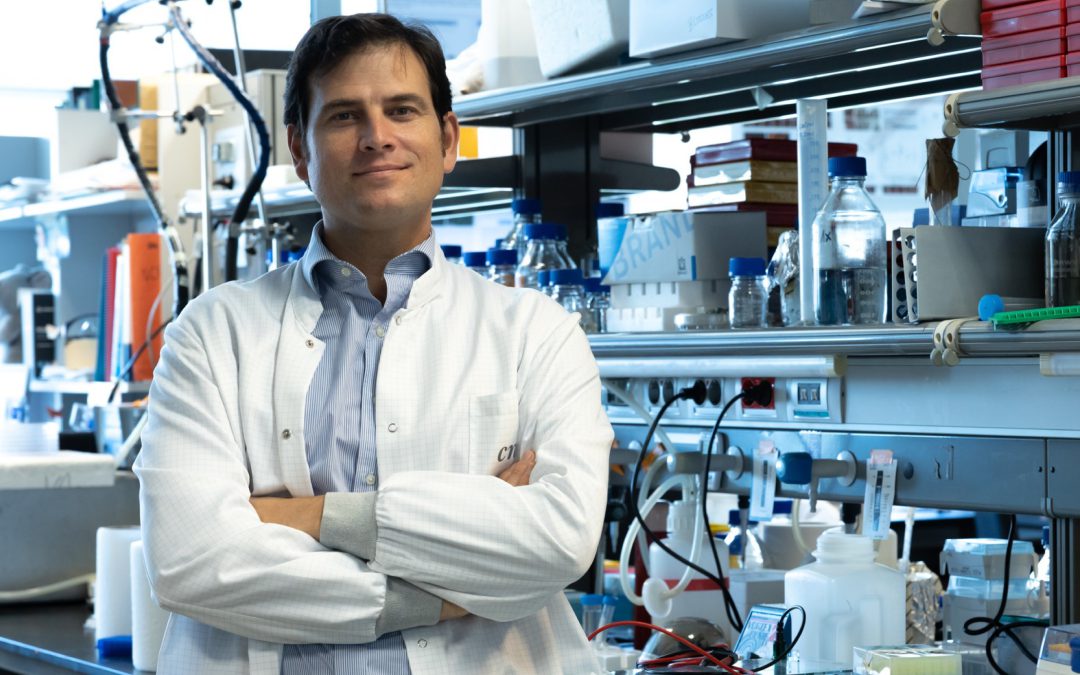 Entrevista a Borja Ibáñez: “Hemos demostrado que determinadas dietas pueden proteger el corazón frente a la toxicidad de las antraciclinas”